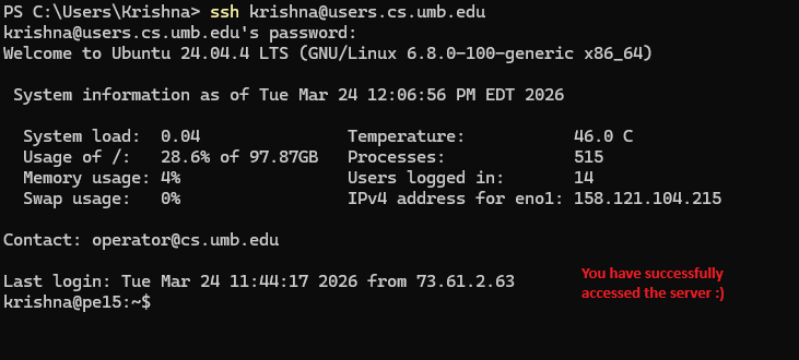 Server terminal session